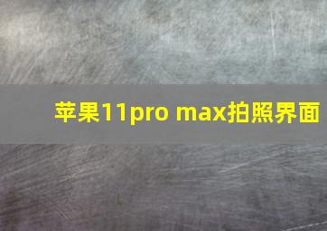 苹果11pro max拍照界面